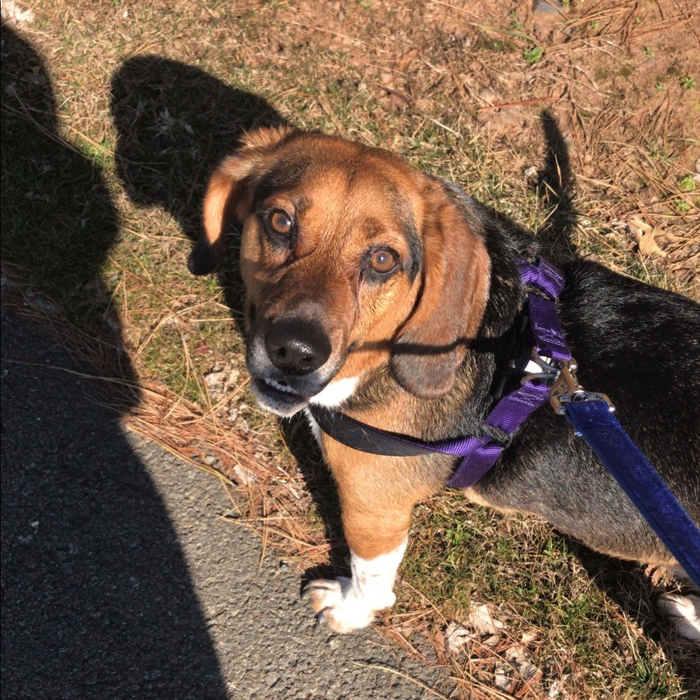 Meet your Posher, Gladya